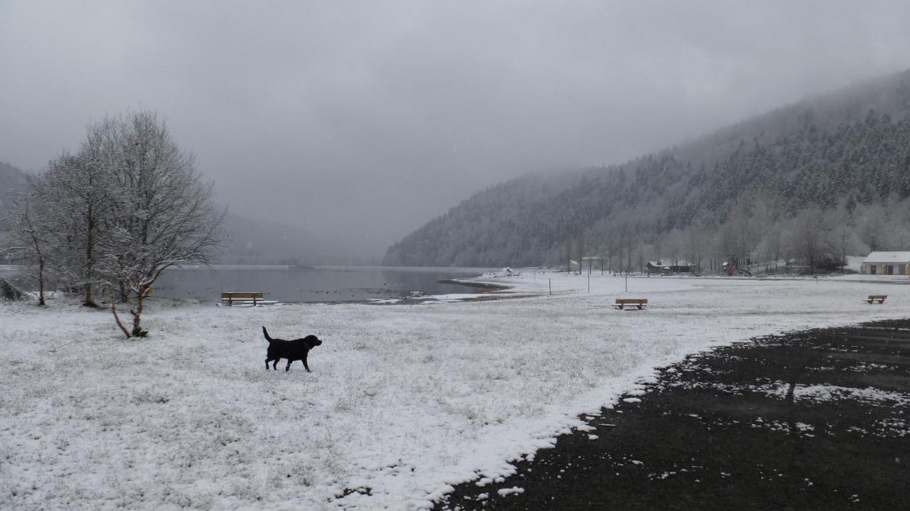 Gite Appartement Du Pays Des Lacs De Pierre Percee Celles-sur-Plaine Bagian luar foto